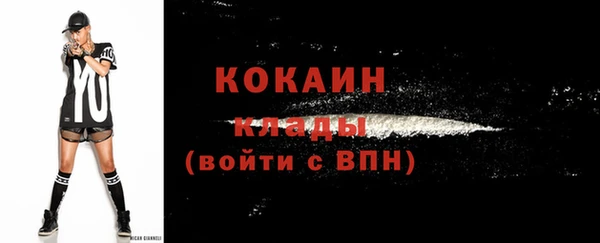гидропоника Богданович