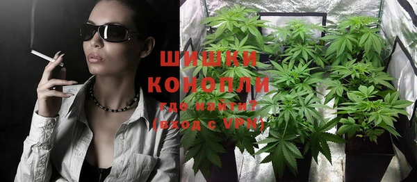 гидропоника Богданович
