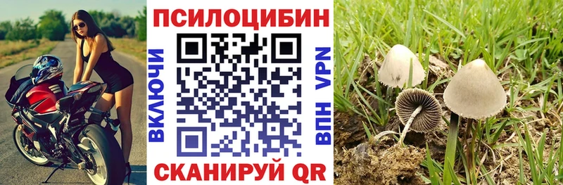 Псилоцибиновые грибы MAGIC MUSHROOMS где найти Еманжелинск